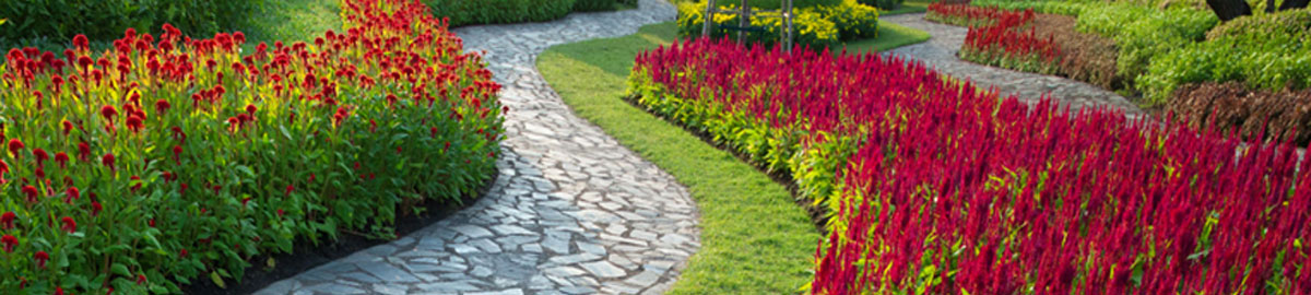 Sidewalks and Steps from Wright's Concrete